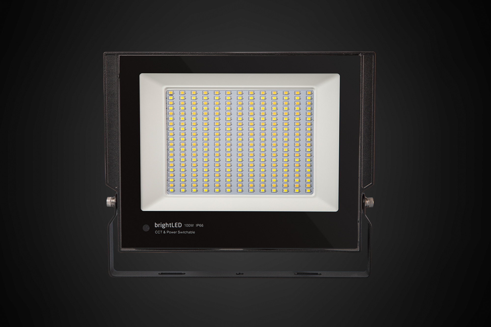 100W-2 Colour & Power Switchable Floodlight 100W